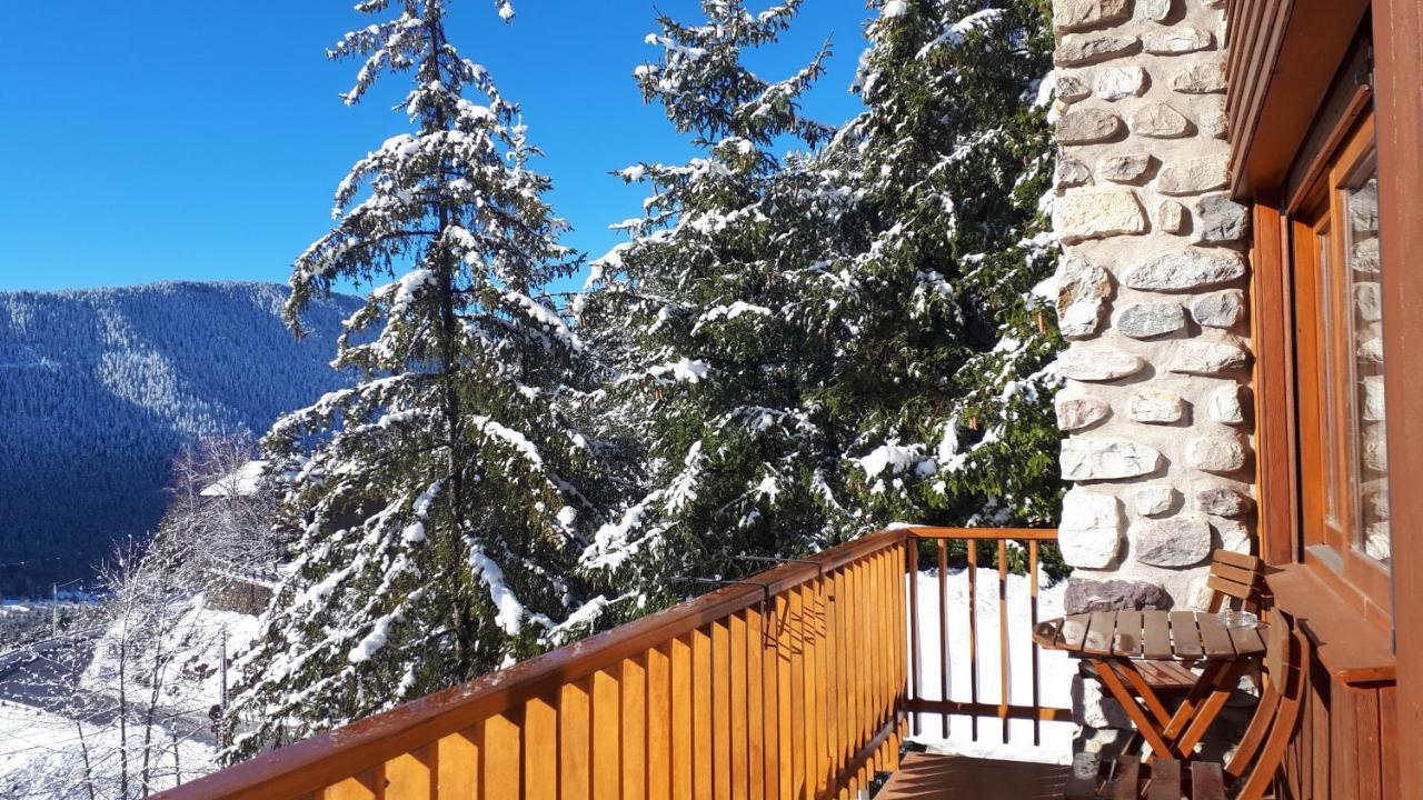 Chambres D'Hotes Le Grand Chalet Valdeblore Buitenkant foto